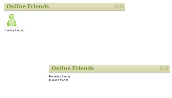 Online Friends Application