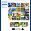 Simple Photo Gallery - Download Free