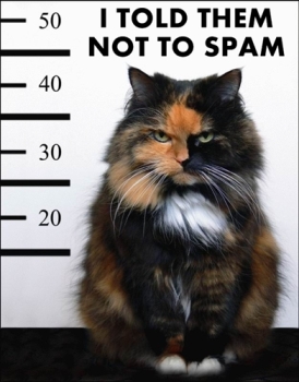 Spam cat