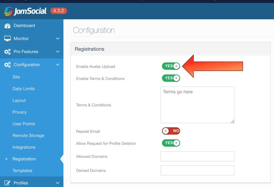 avatar config