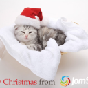 Here at JomSocial we'd like to wish you a very merry Christmas!<br /><br />With Love,<br /><br />Merav & The JomSocial Team