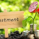 Mutual Funds Investment