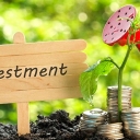 Mutual Funds Investment